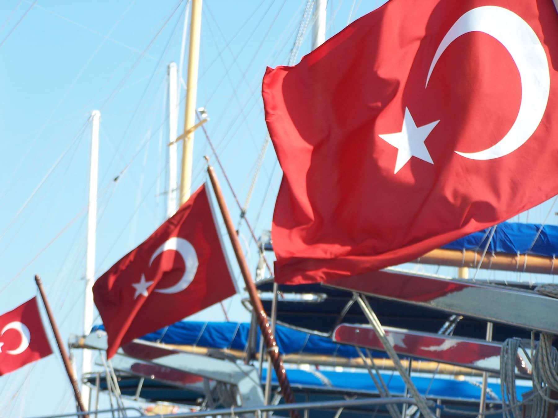 People at Coffee Shop sitting Outside Morbi vitae purus dictum, ultrices tellus in, gravida lectus.