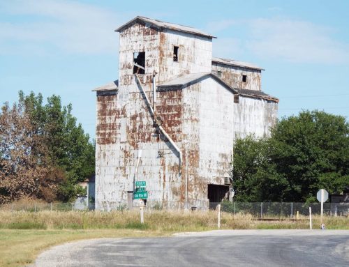 Video Recipe: Making Low Carb Fathead Pizza