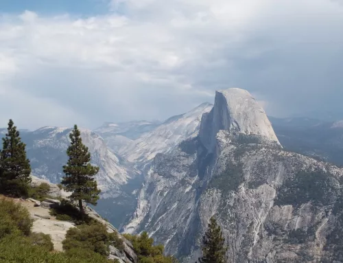 Back to nature in Yosemite National Park