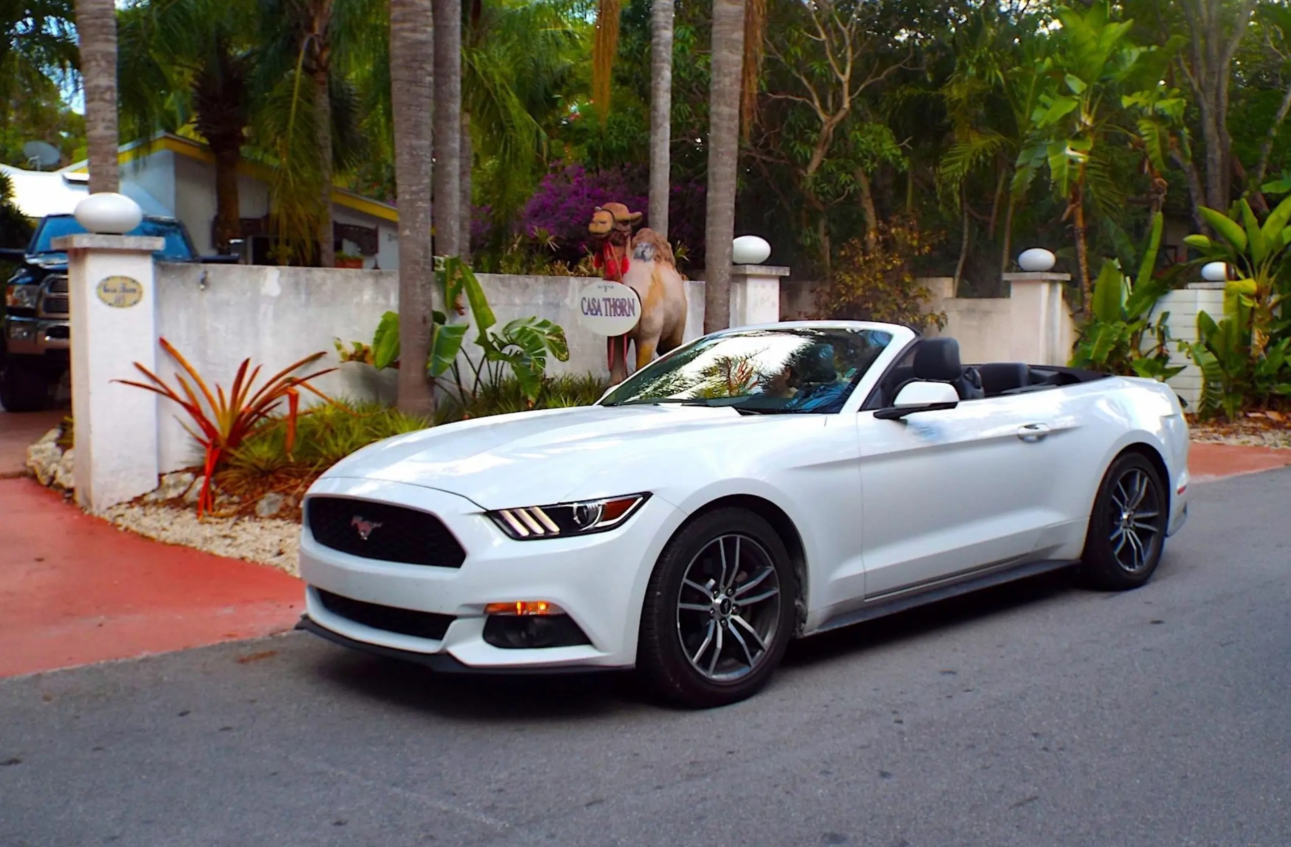 A white Ford Mustang Cabriolet parked in front of a hotel in Islamorada in the Florida Keys