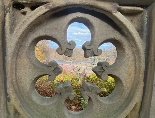 Two Parks, a library, a murder scene and New Yorks finest Railroad Station