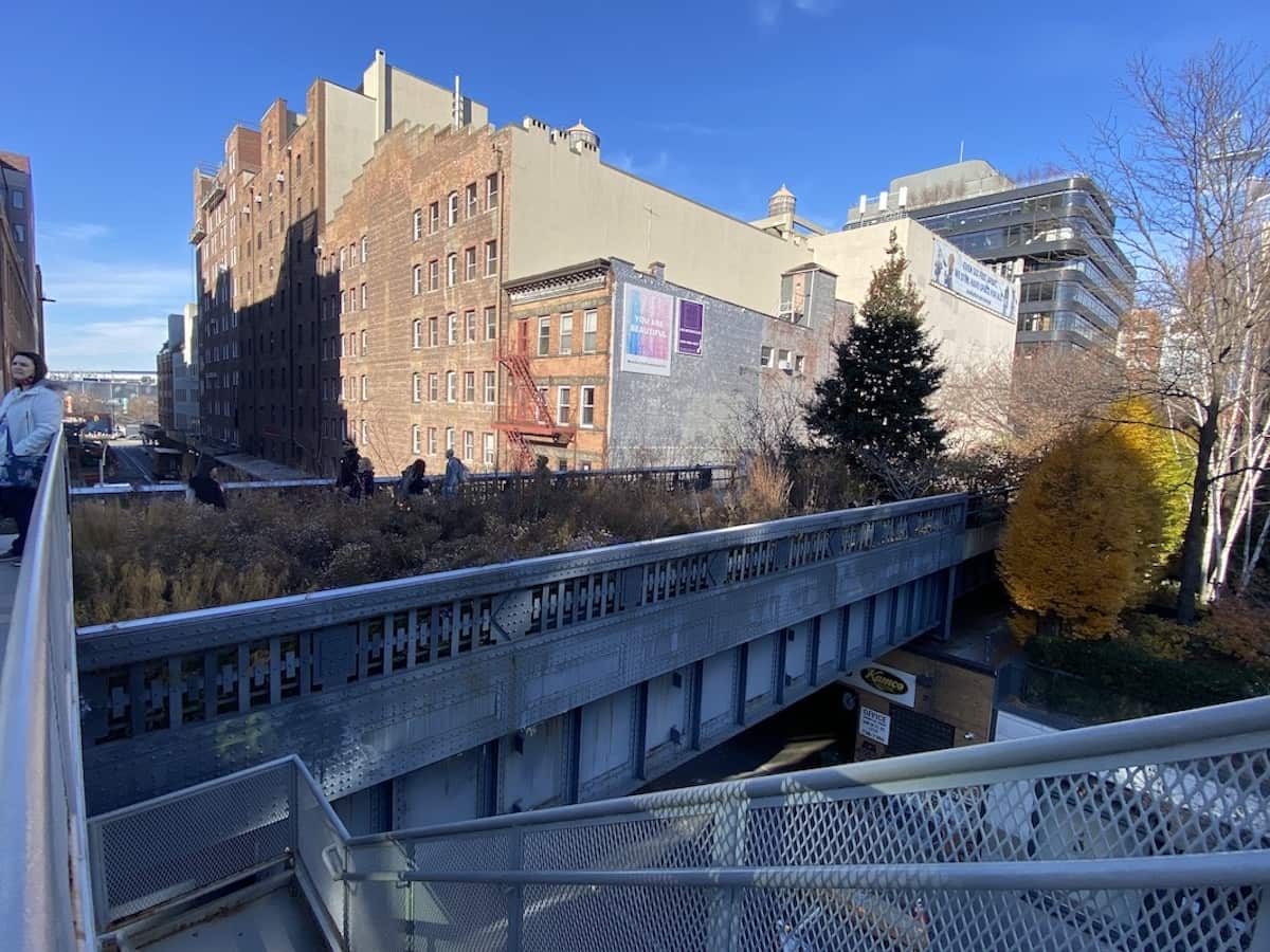 IMG_5764 views from the high liine new york