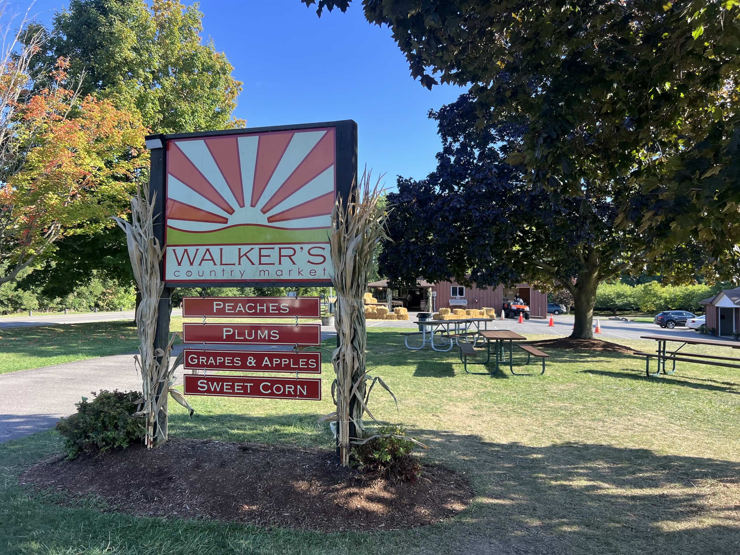 East_Coast_Roadtrip_Ithaca_to_Niagara_00024