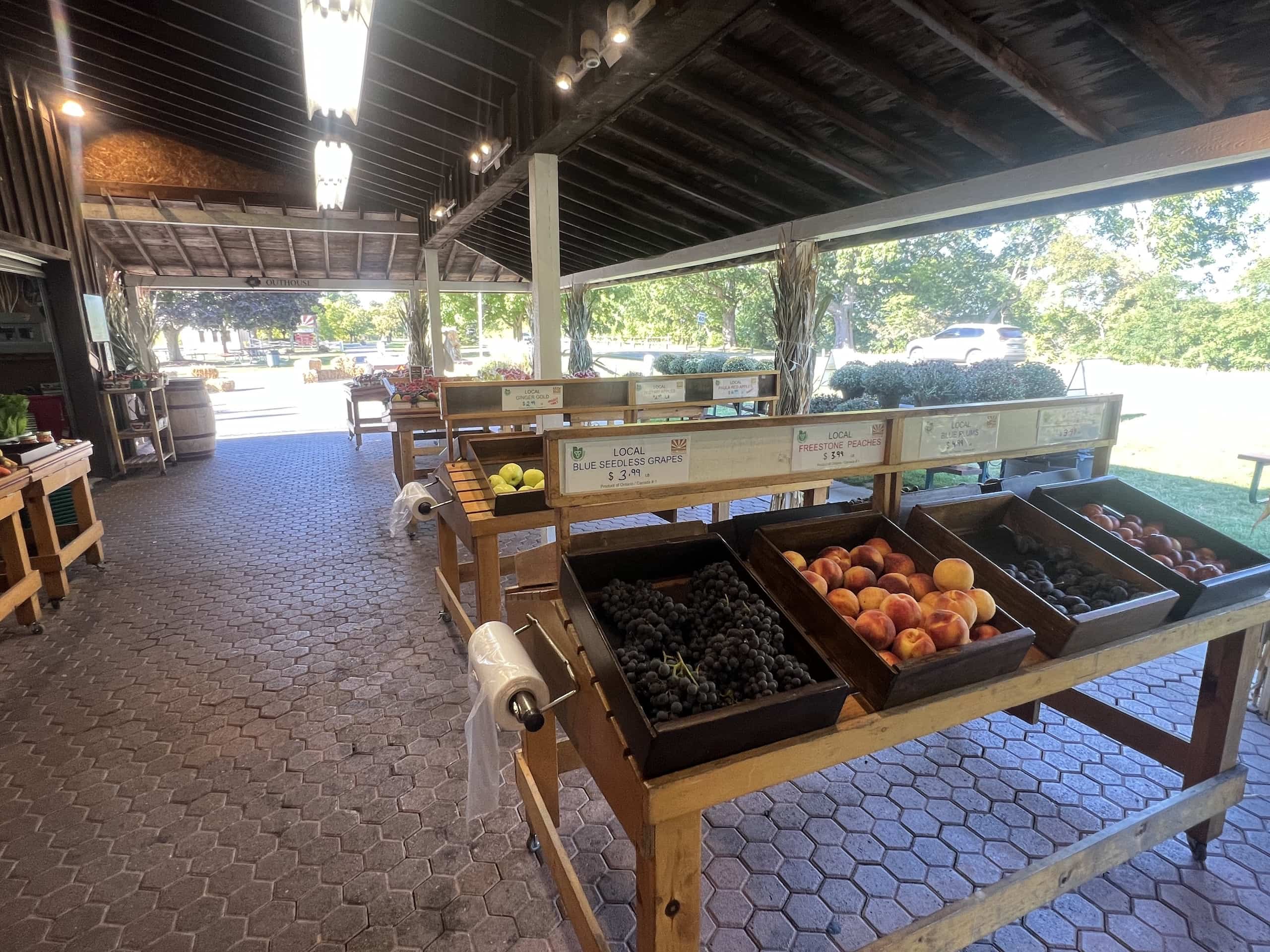 East_Coast_Roadtrip_Ithaca_to_Niagara_00025