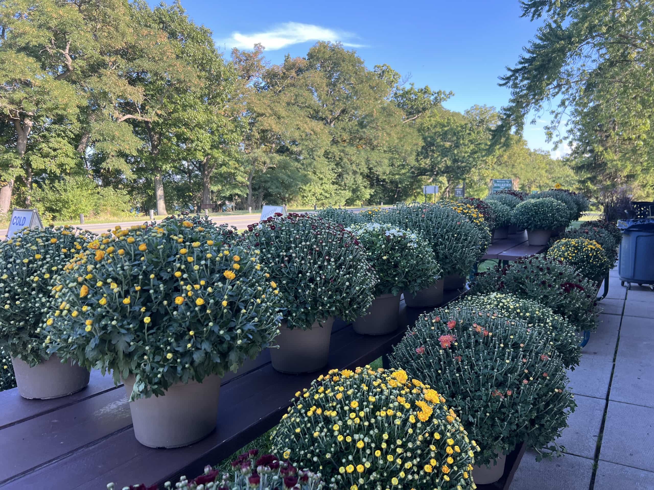 East_Coast_Roadtrip_Ithaca_to_Niagara_00026