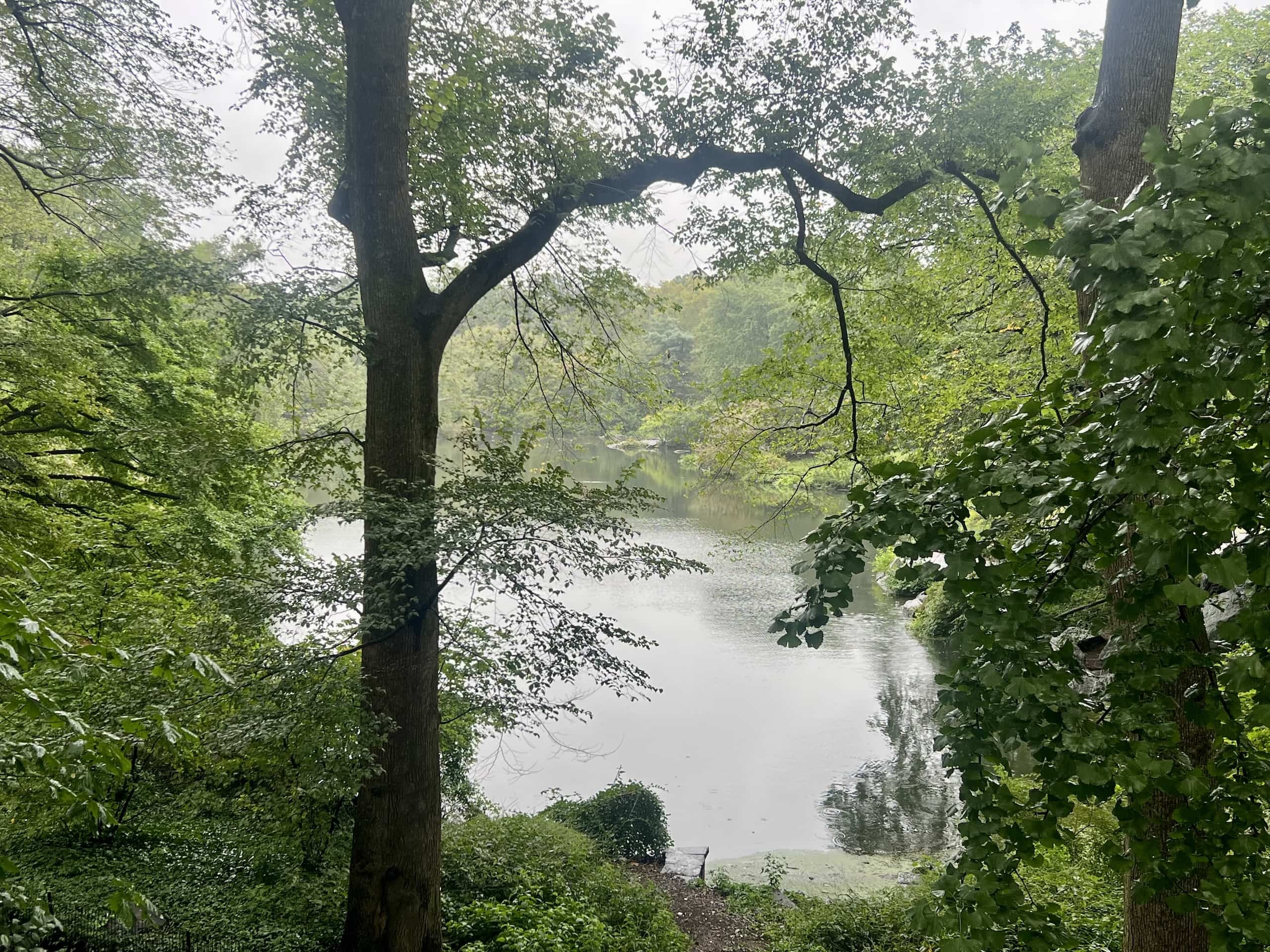 East_Coast_Roadtrip_New_York_000009