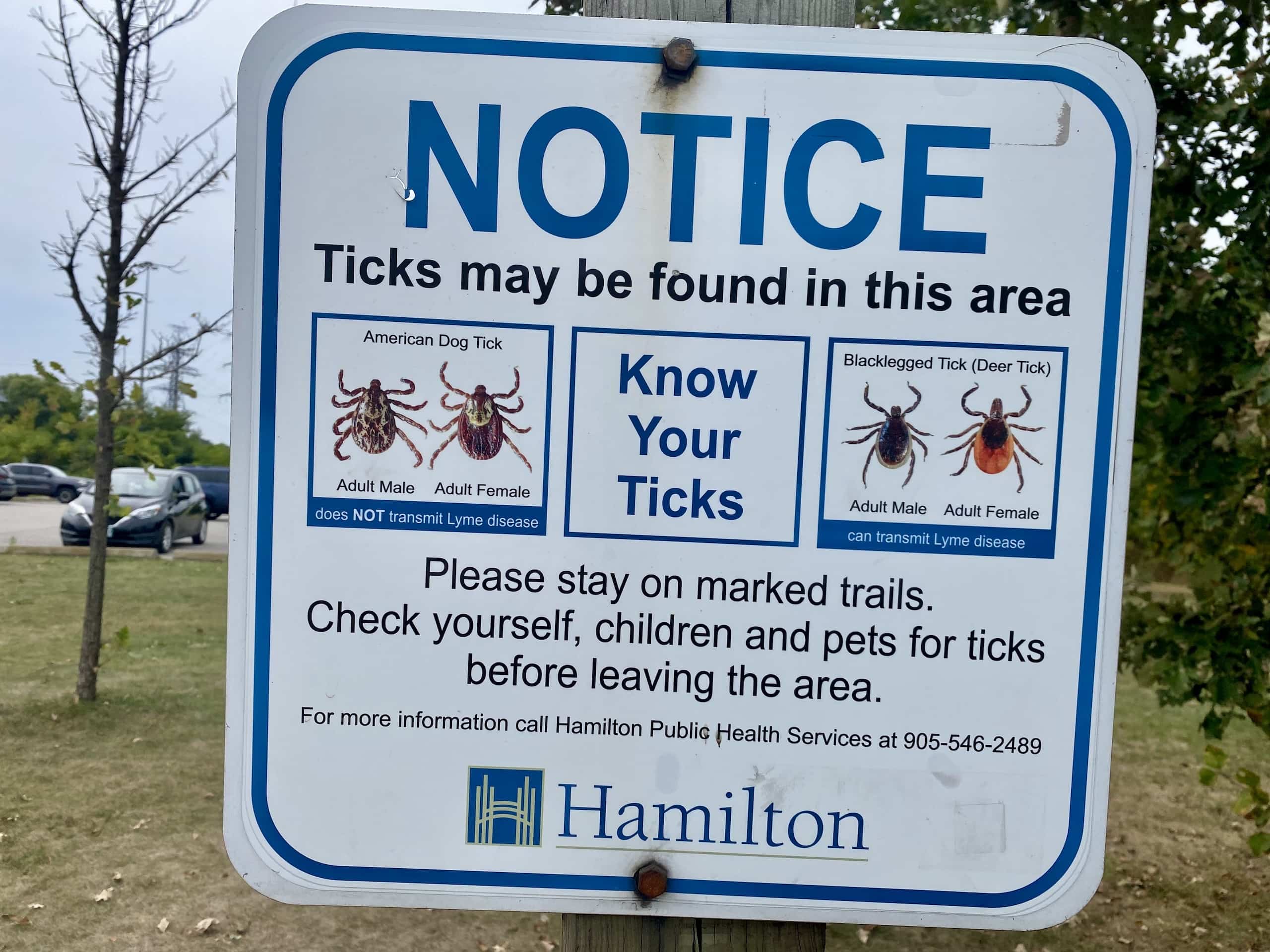 East_Coast_Roadtrip_Niagara_to_toronto_00006