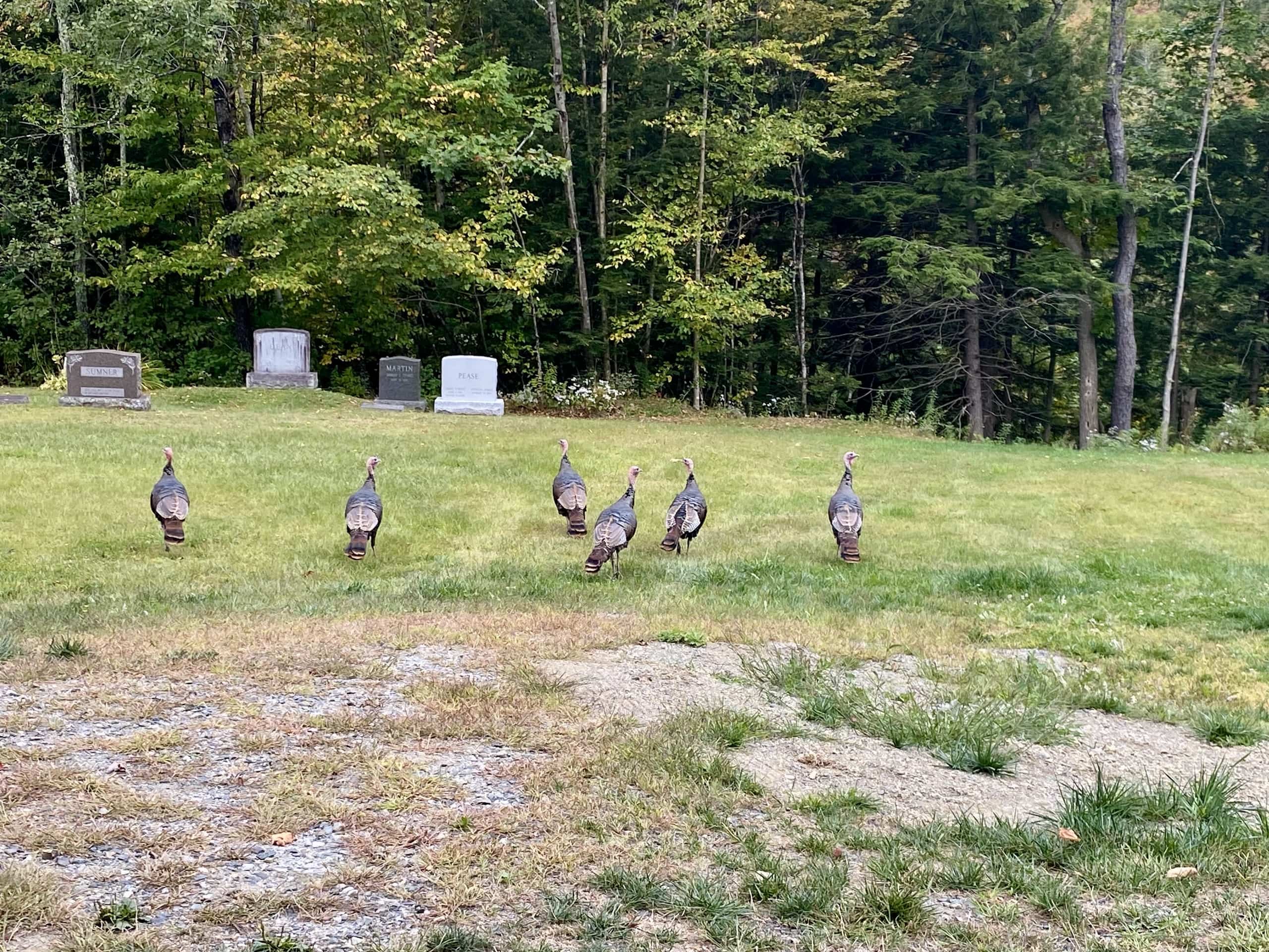 East_Coast_Roadtrip_Saratoga_Springs_to_Boston_00009