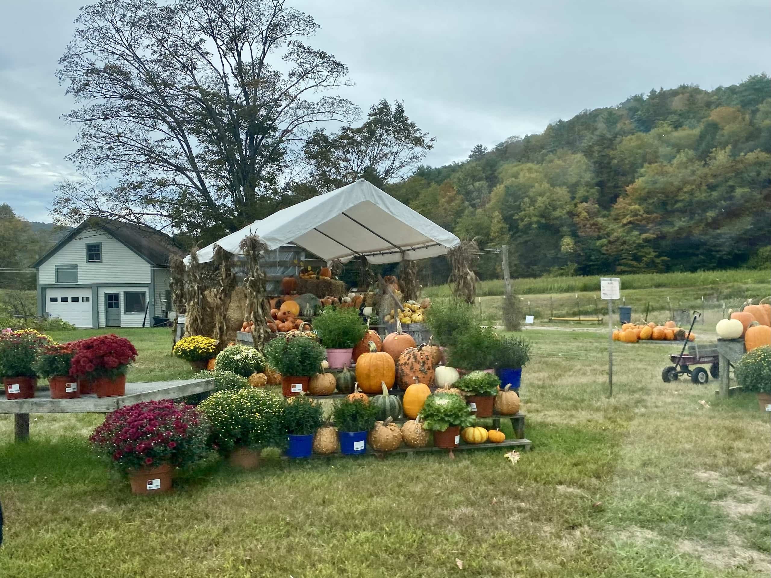 East_Coast_Roadtrip_Saratoga_Springs_to_Boston_00016