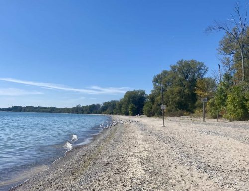 Day 7 – From Toronto to Gananoque: Heritage Houses, Locks and Lakeside Charm