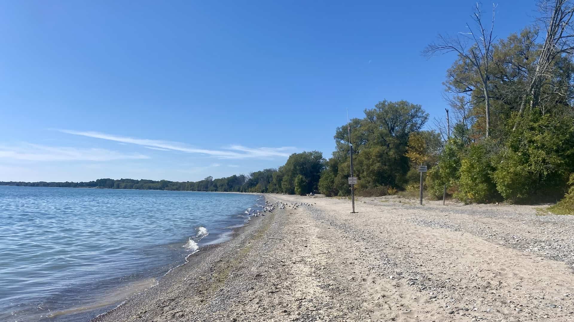 Day 7 – From Toronto to Gananoque: Heritage Houses, Locks and Lakeside Charm