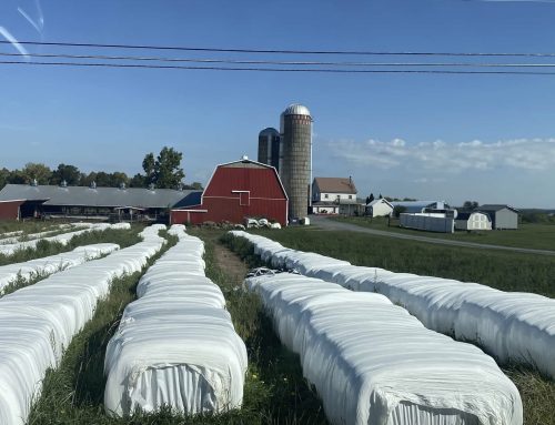 Views from the passenger side – New York to Toronto