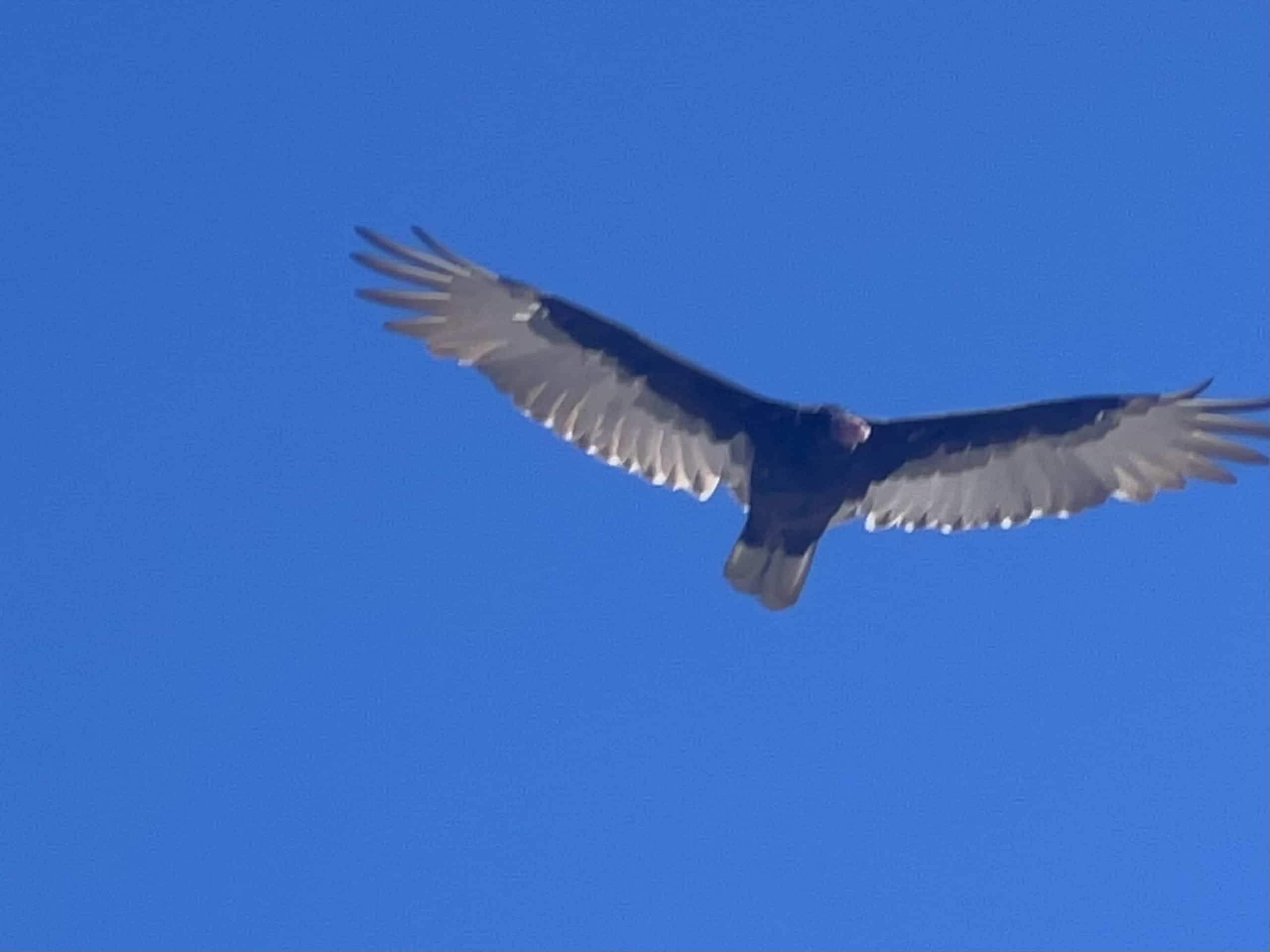 East_Coast_Roadtrip_Boston_to_Falmouth_00025