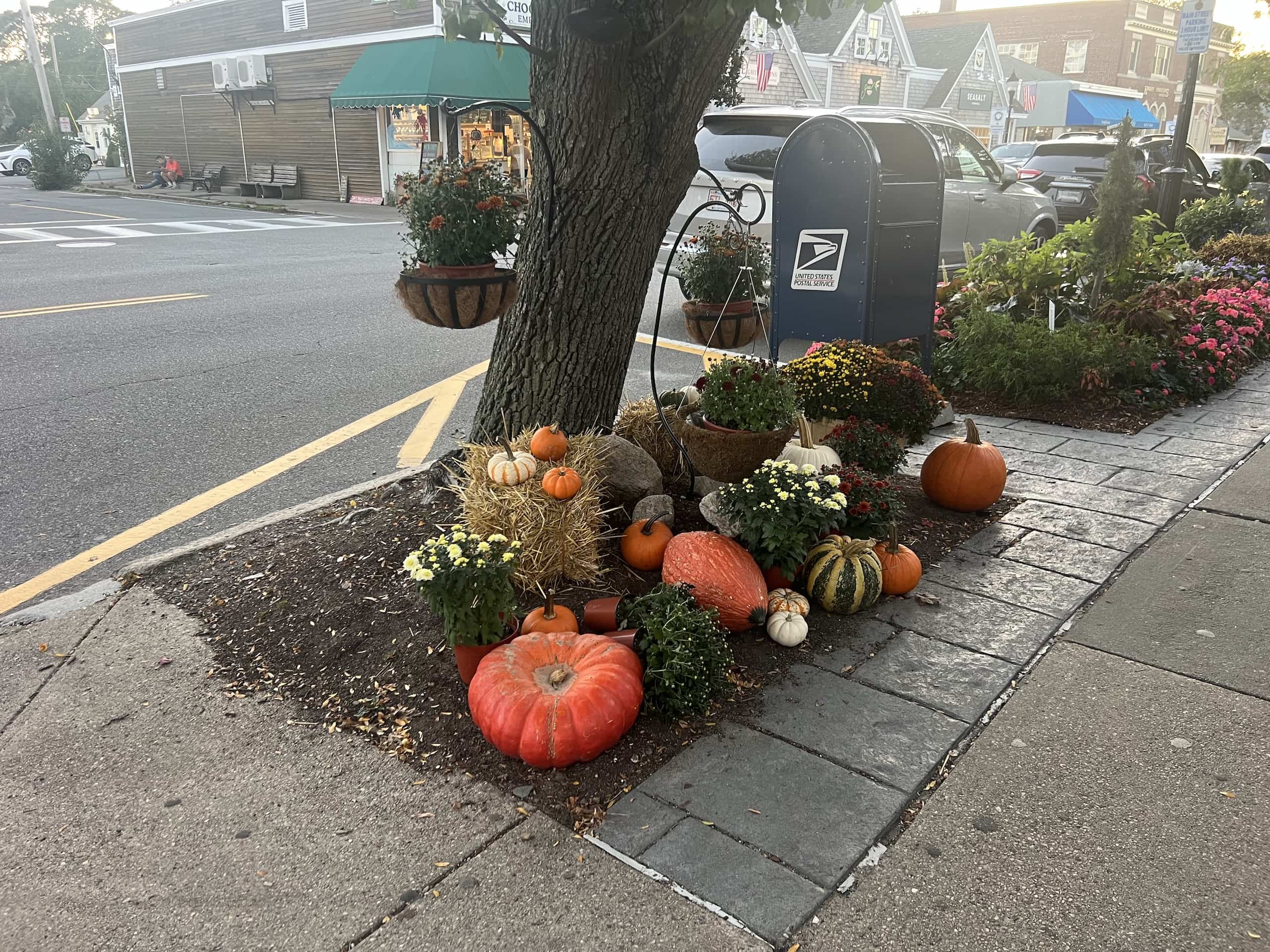 East_Coast_Roadtrip_Boston_to_Falmouth_00041