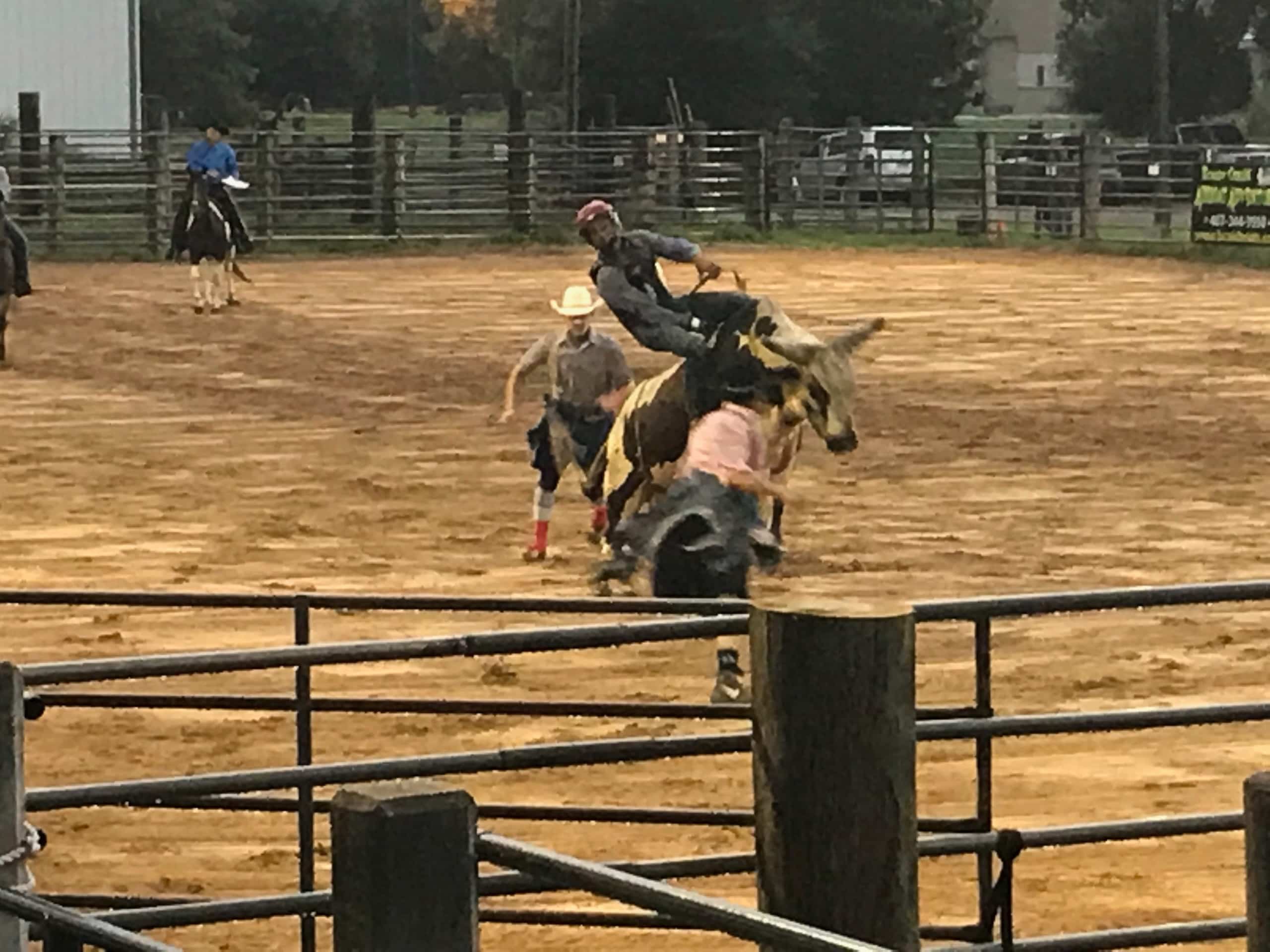 Floride_and_Beyond_intro_00005