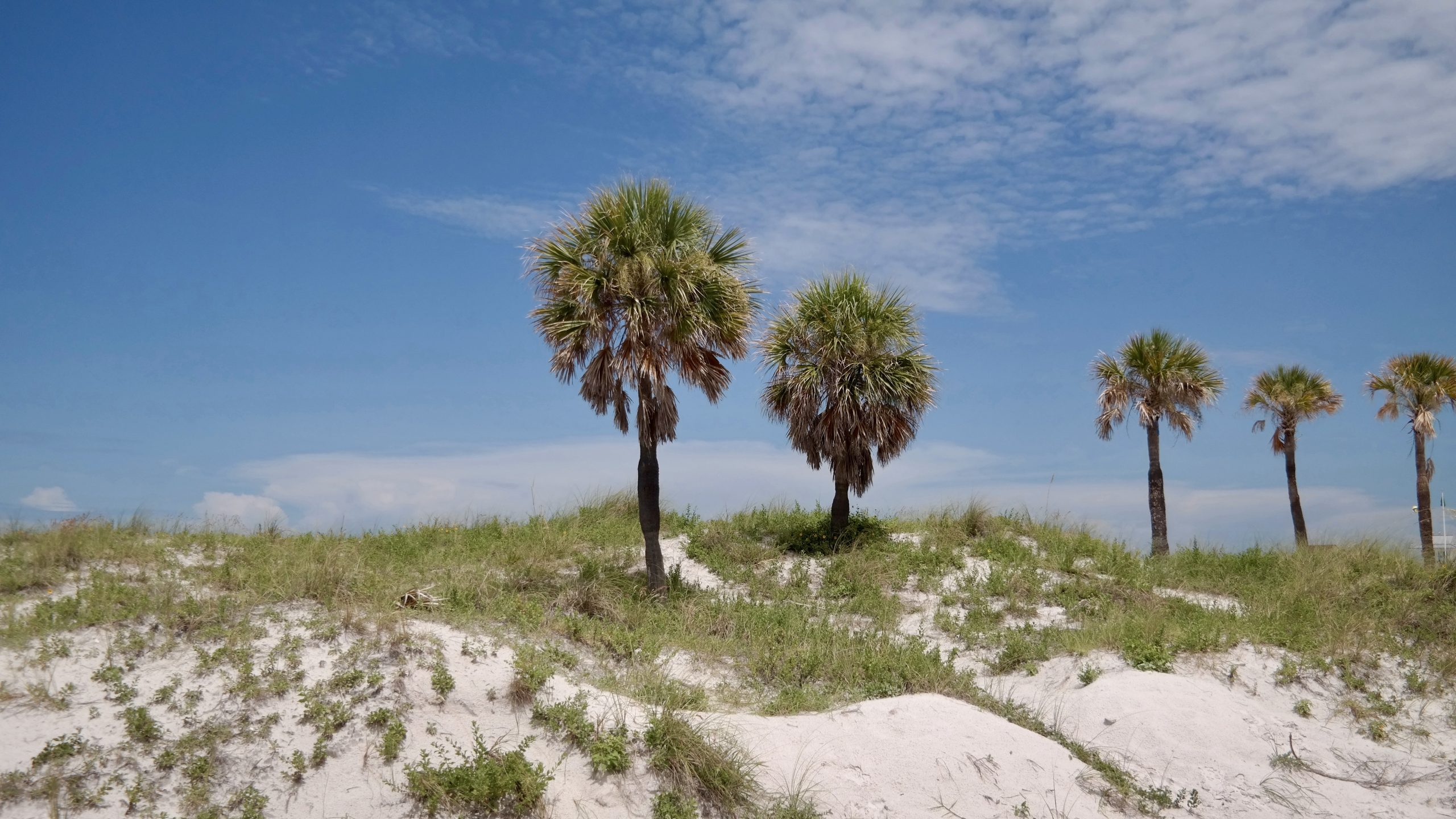 Relaxing in Florida: Crazy Golf, Storms and Slowing the Pace