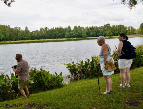 Our Florida Holiday: Final Thoughts & Would We Do It Again?