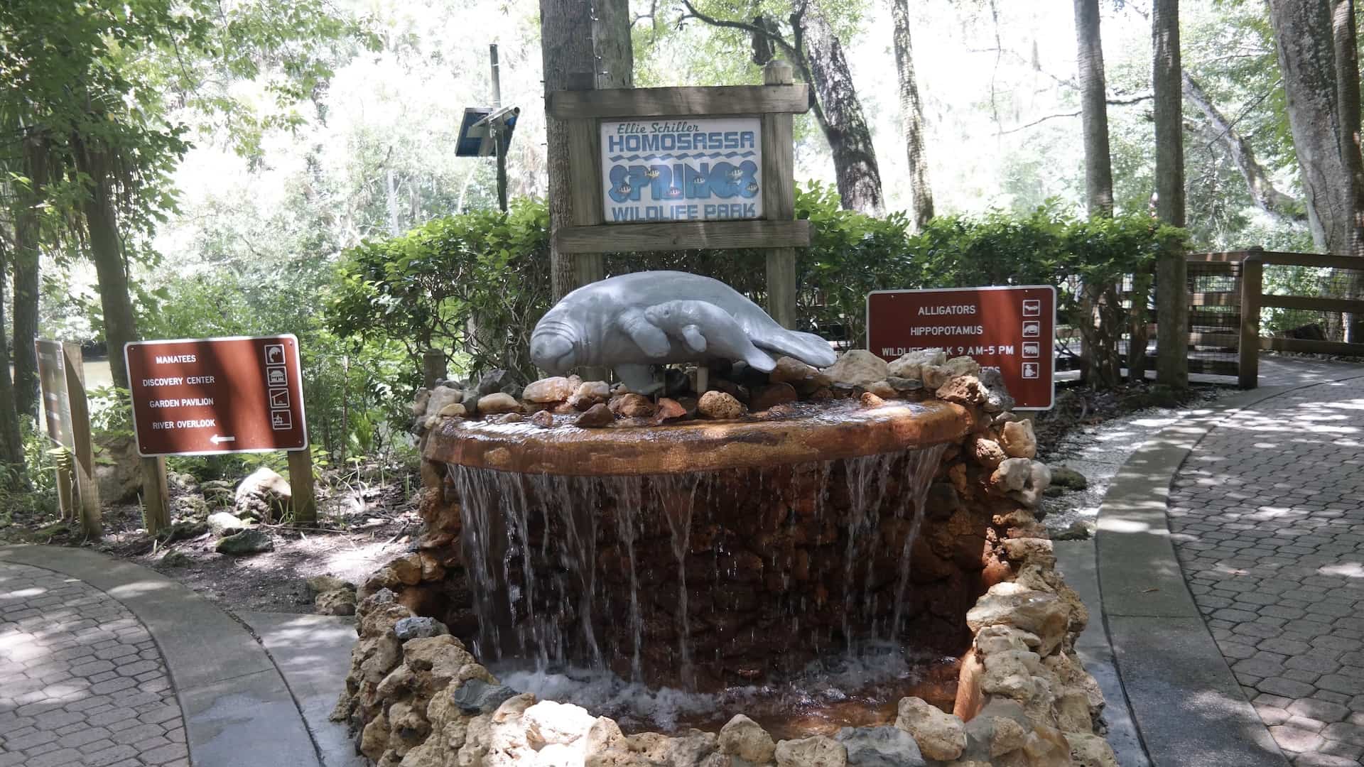 Homosassa Springs & the Manatees: Florida’s Gentle Giants
